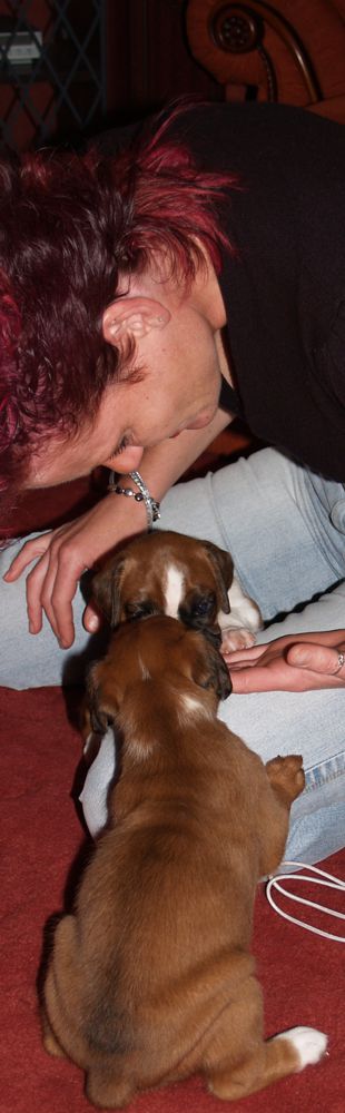 puppies