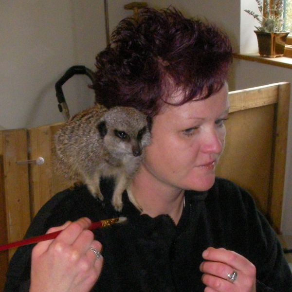 clare with a meerkat